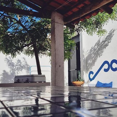 Quintinha Do Sal - Casa Das Flores Alcacer do Sal Ngoại thất bức ảnh