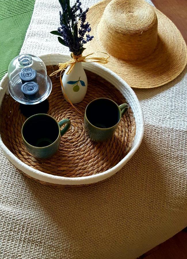 Quintinha Do Sal - Casa Das Flores Alcacer do Sal Ngoại thất bức ảnh
