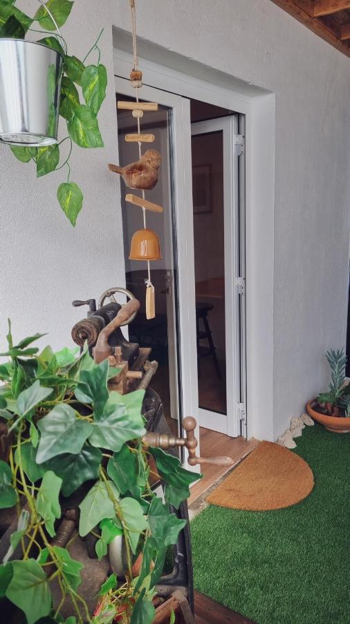 Quintinha Do Sal - Casa Das Flores Alcacer do Sal Ngoại thất bức ảnh