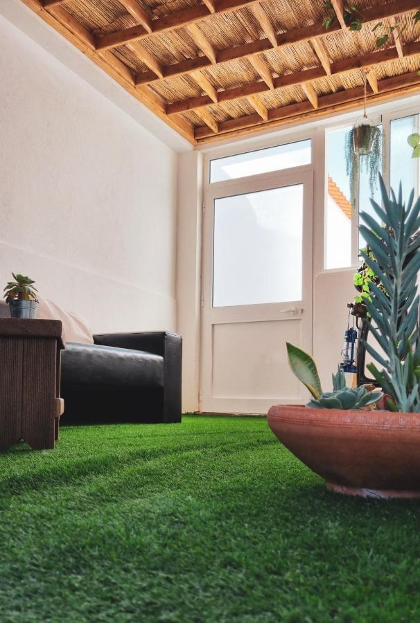 Quintinha Do Sal - Casa Das Flores Alcacer do Sal Ngoại thất bức ảnh