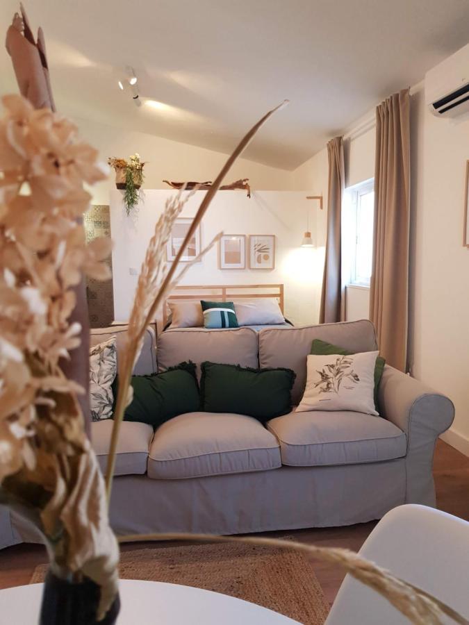Quintinha Do Sal - Casa Das Flores Alcacer do Sal Ngoại thất bức ảnh